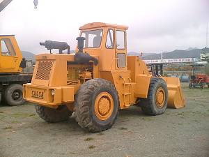 CALSA 300