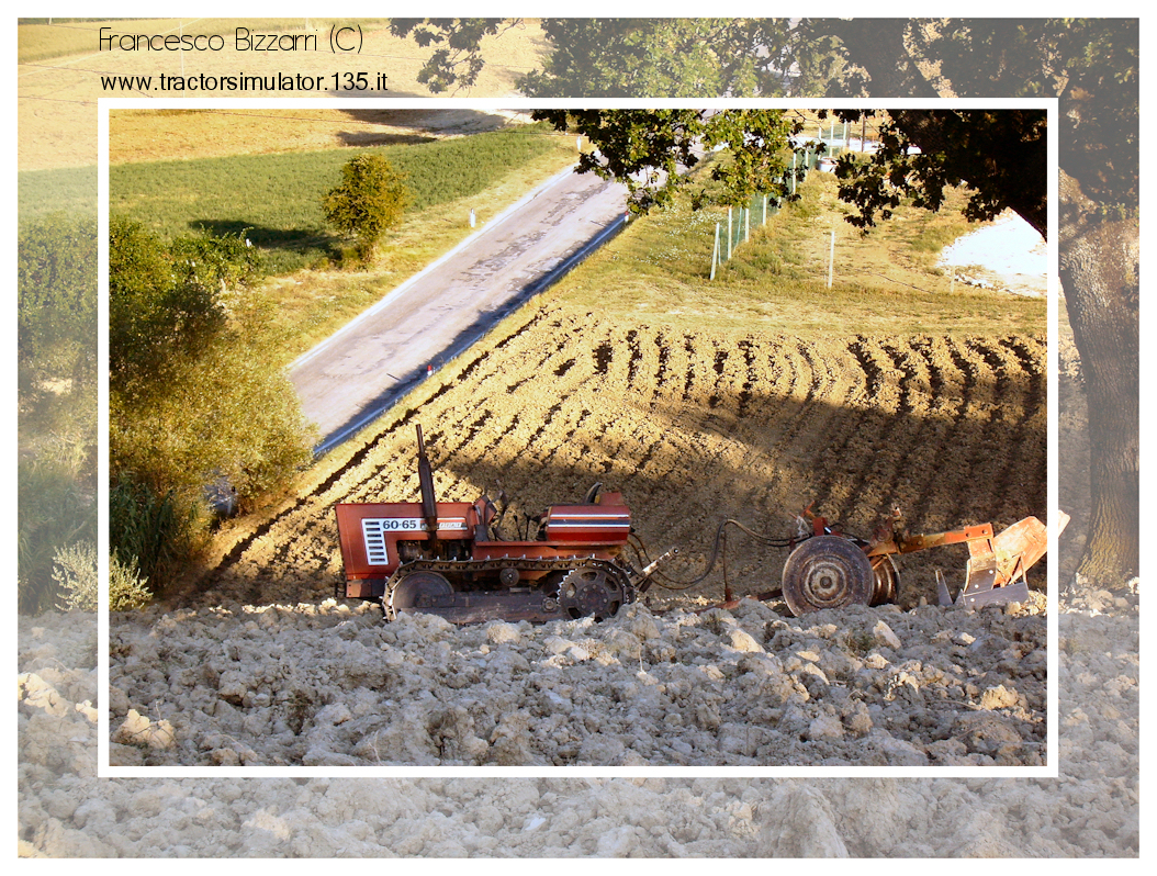 Fiat cingolato 60-65