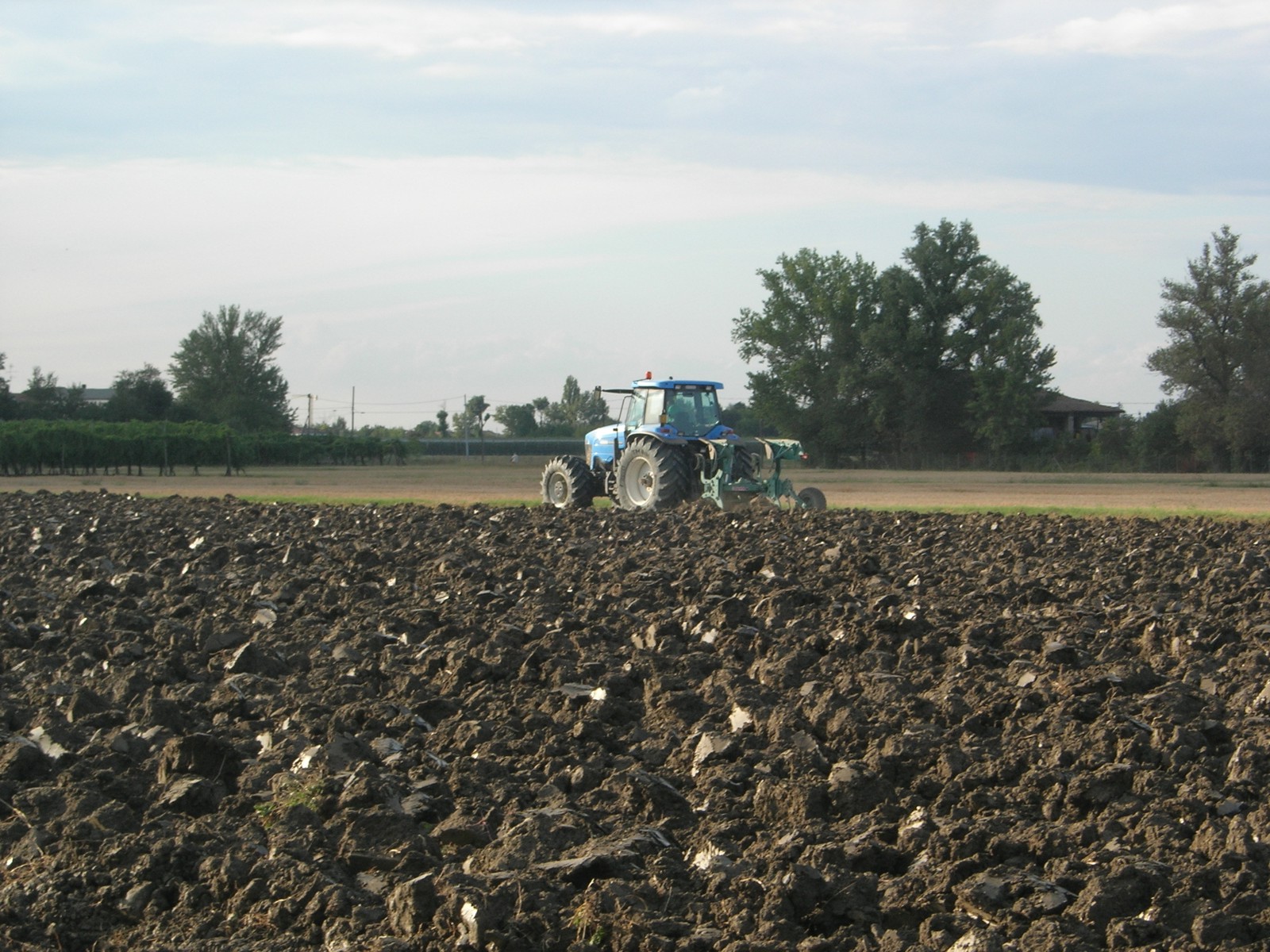landini starland 210