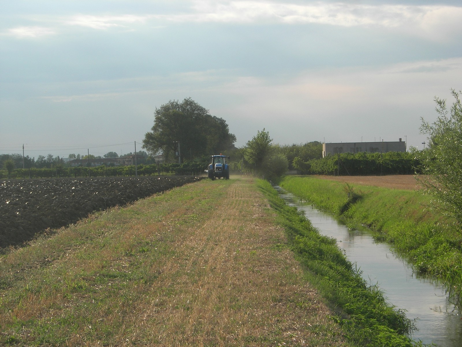 landini starland 210