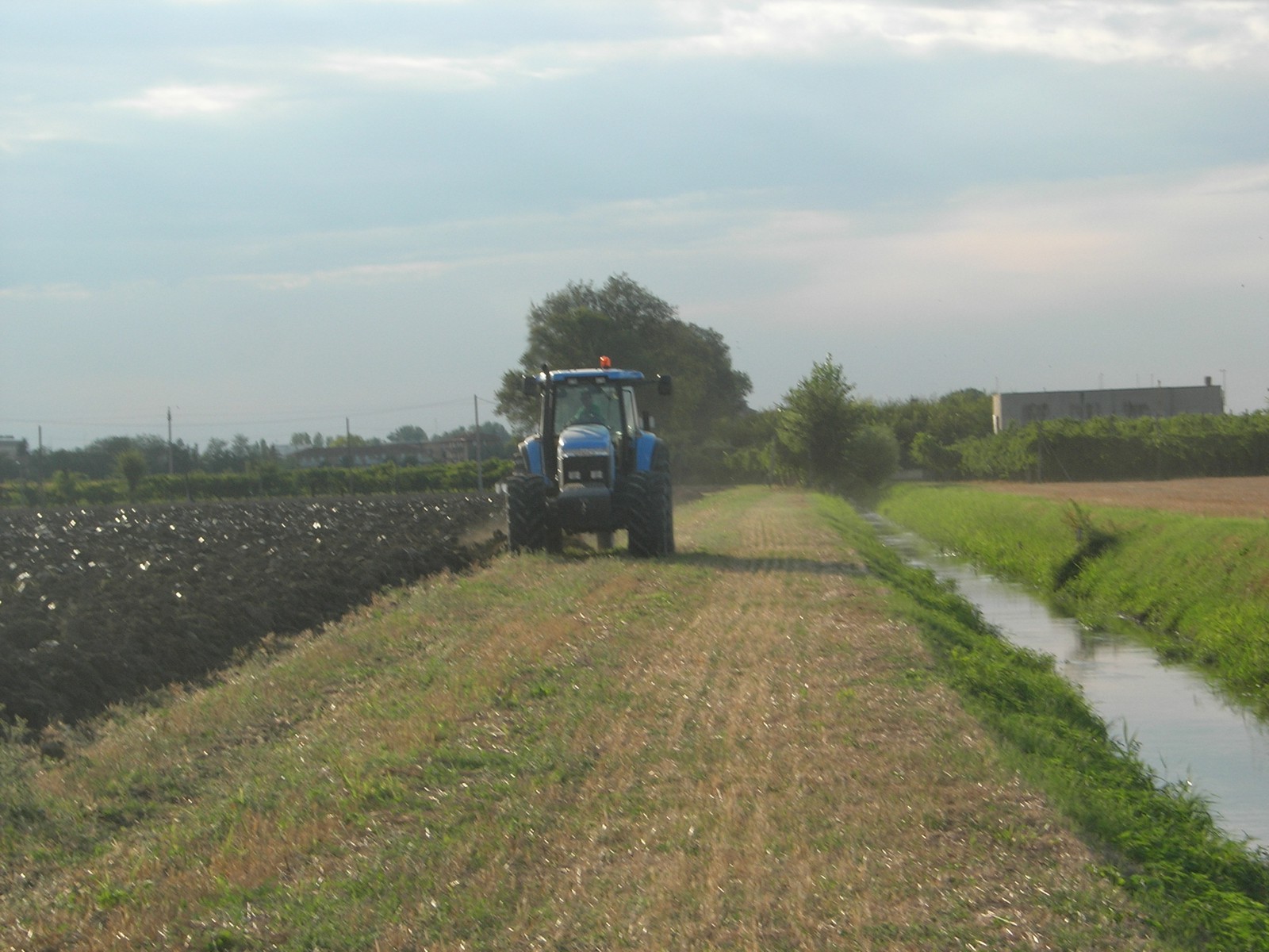 landini starland 210