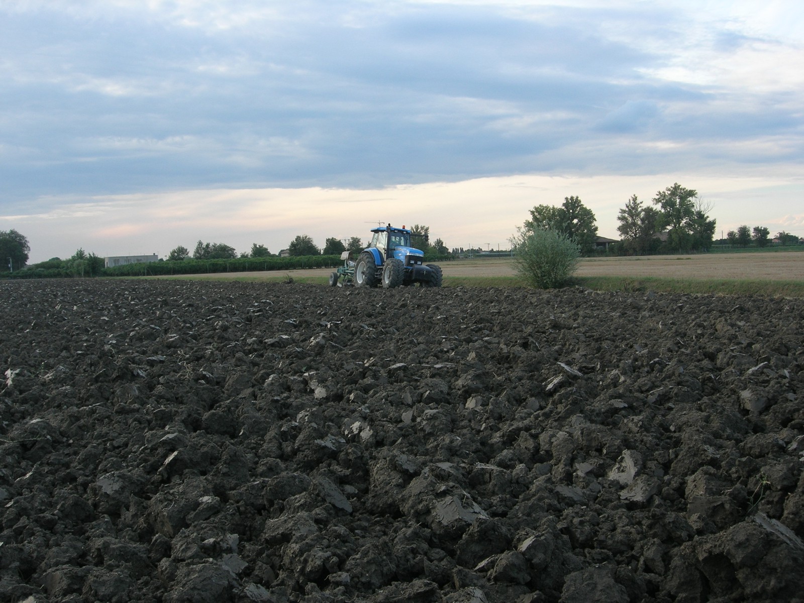 landini starland 210