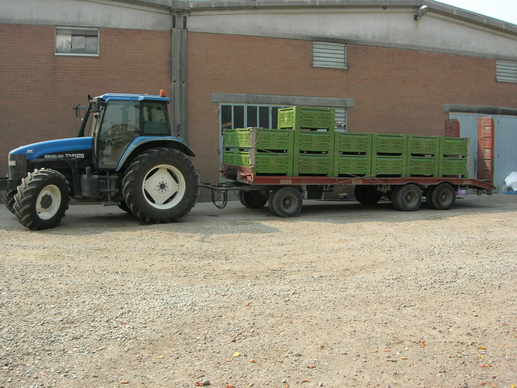 new holland tm125