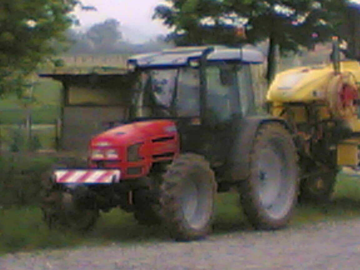 same dorado 86