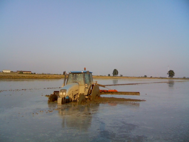 vision 105 asse spianone piantato