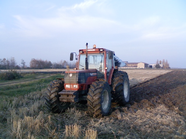 f 115 con michelin 800