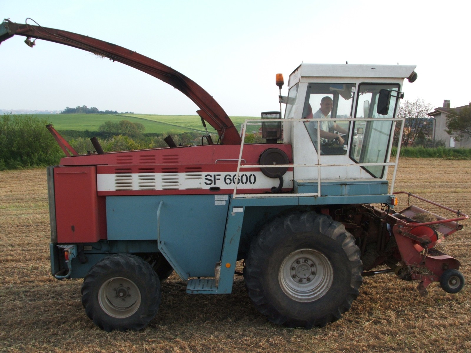 menghele 6600 & zii pino