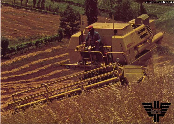 Quando gli italiani che raccolgono il primo grano??