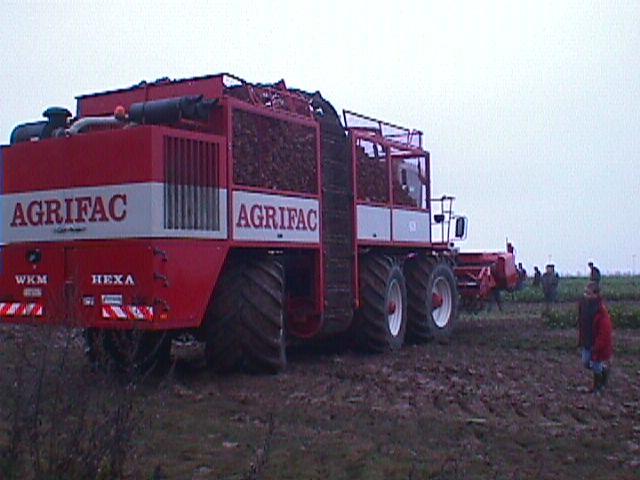 semovente raccolta bietole