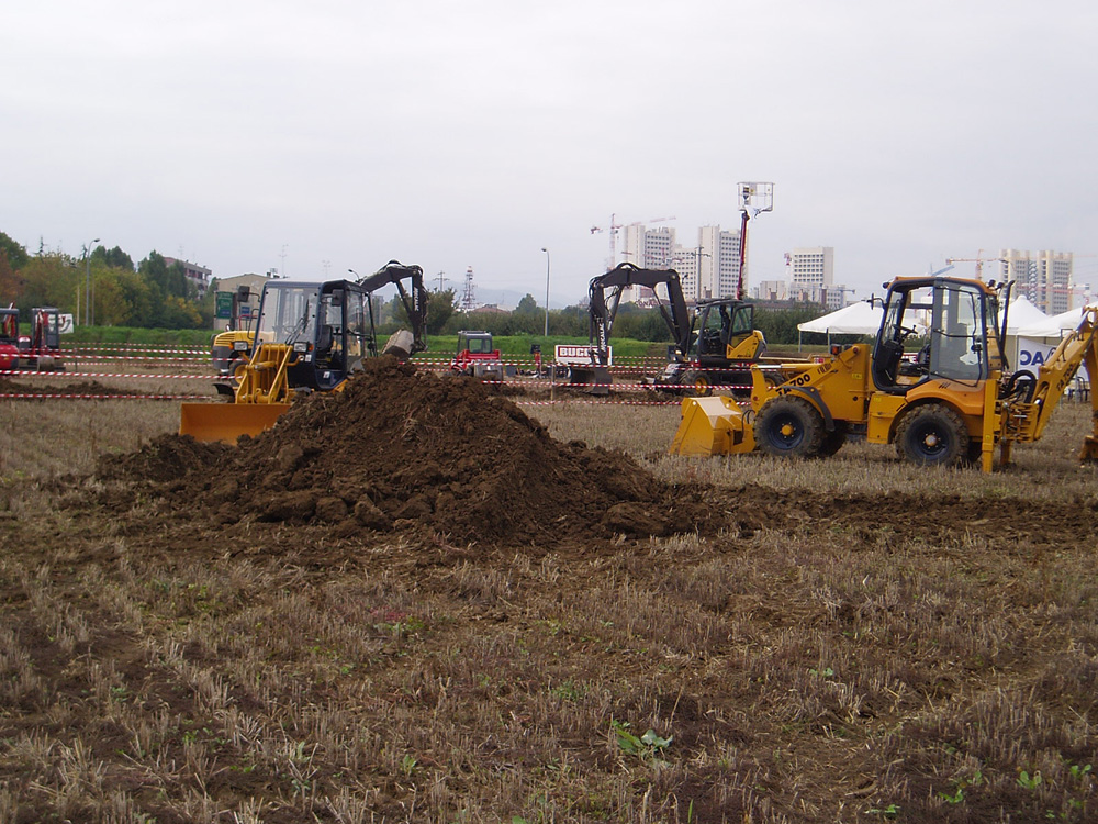 Terne Fiori al lavoro