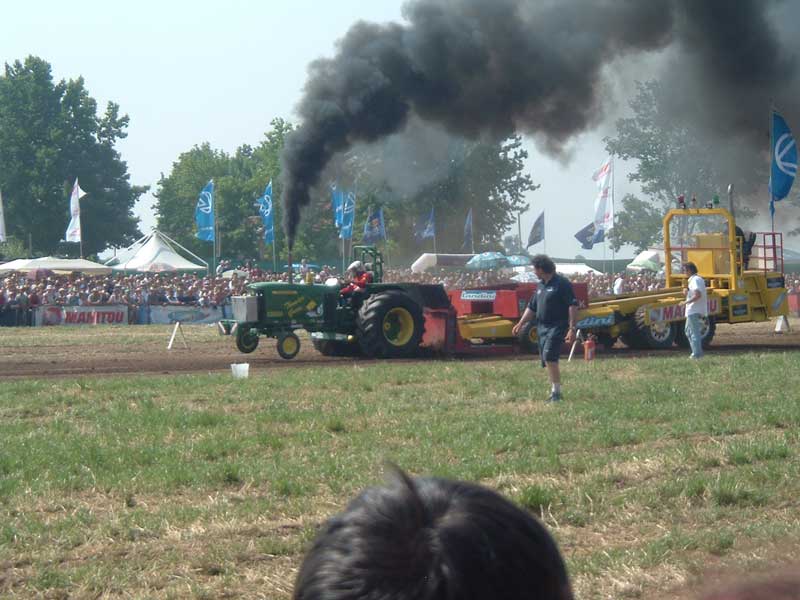 Thunder Green