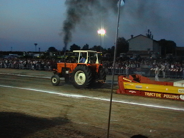 T.P. pezzolo 2005