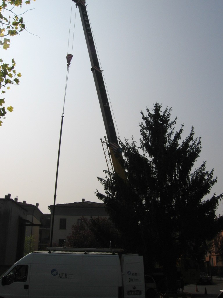 Ormig Fernando Marta