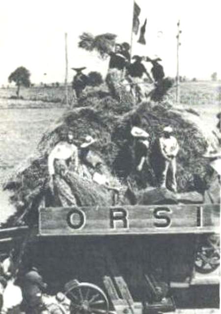 Orsi