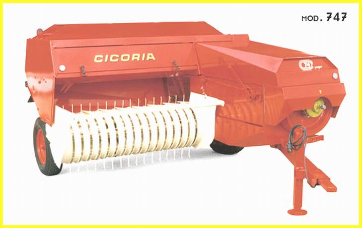 Cicoria