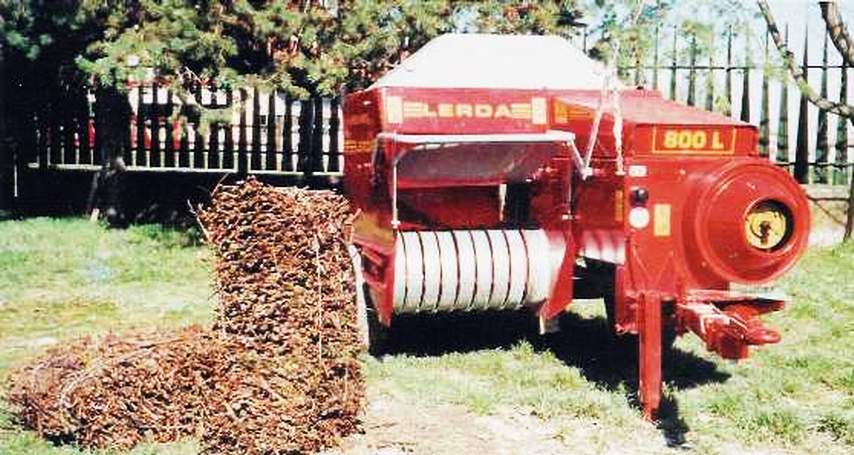 CM Lerda