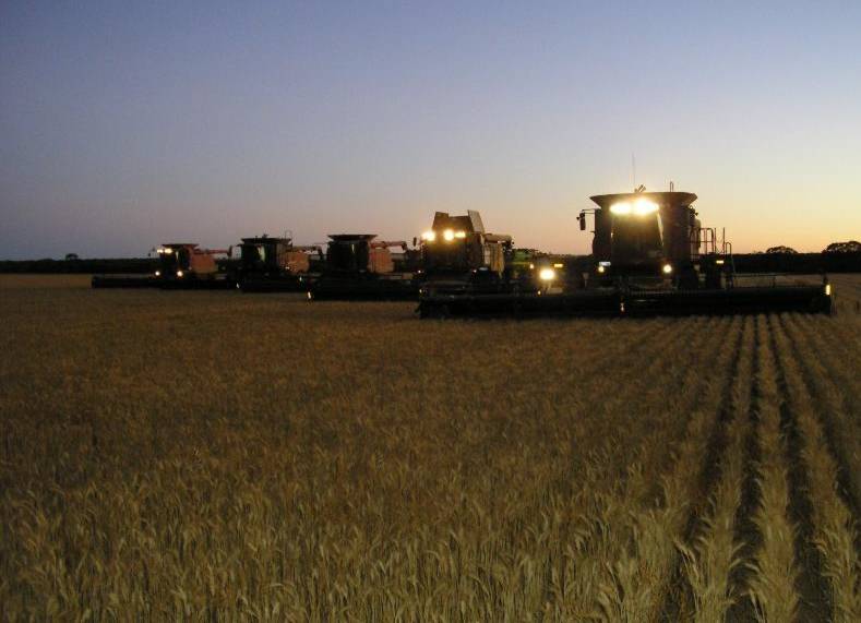 mietitrebbie case ih e claas