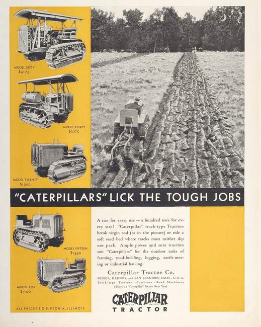 Caterpillar