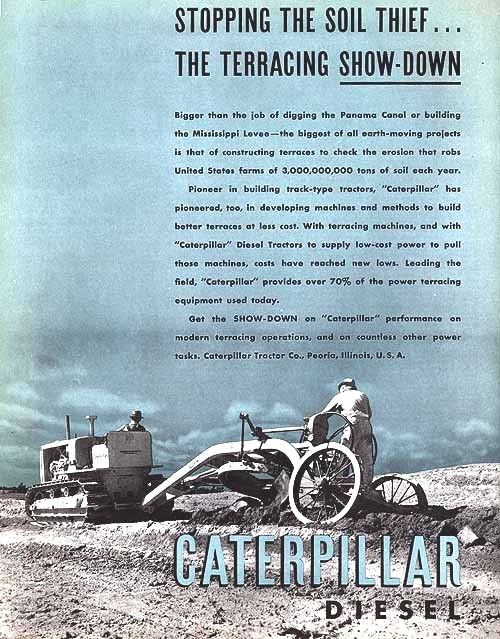 Caterpillar