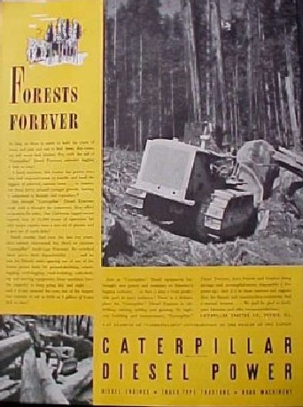 Caterpillar