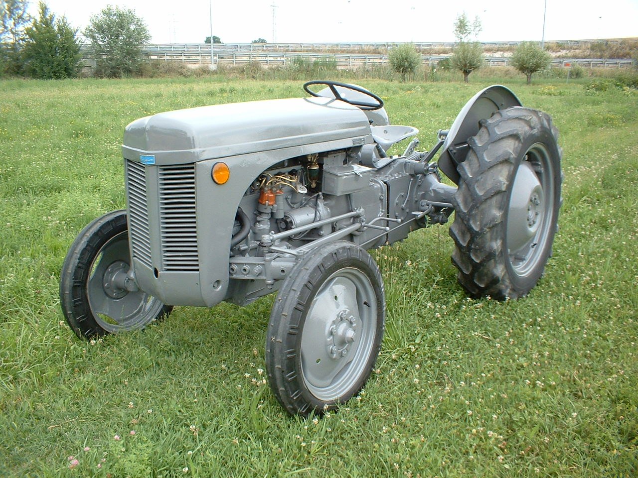 Ferguson TE20