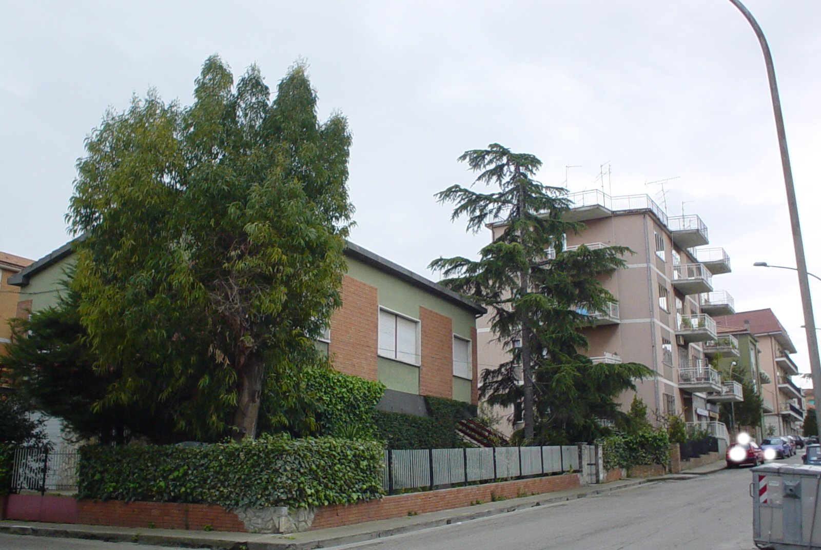 Taglio Alberi - Prima