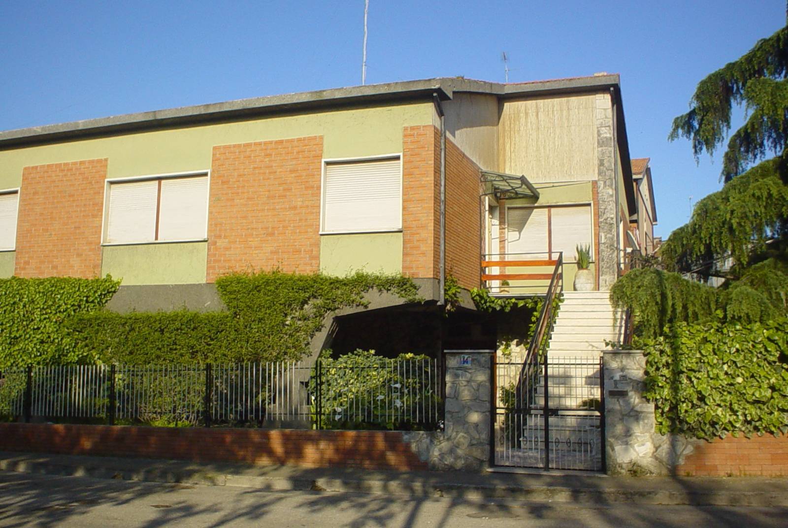 Taglio Alberi - Dopo