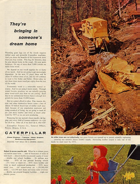 Caterpillar
