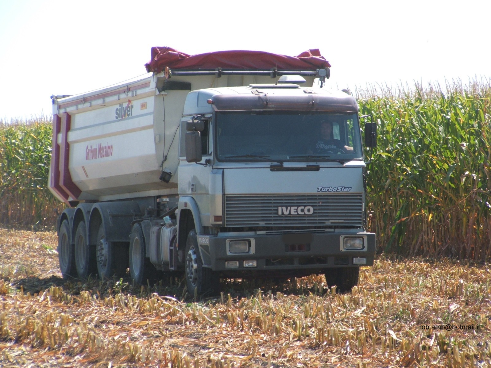 ce n'è per tutti i gusti!!!!!!!!!!!!!!