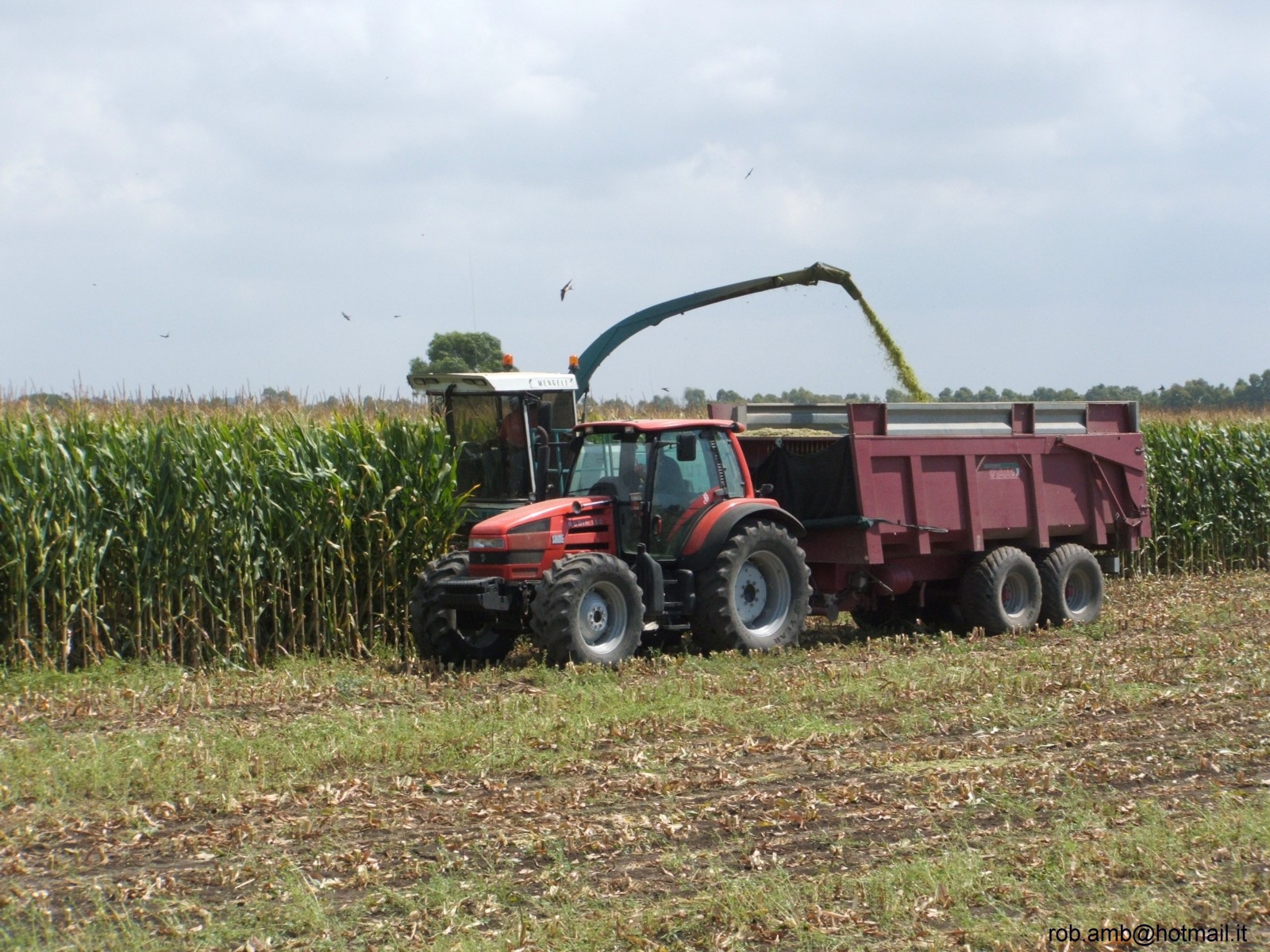 rubin 150 con dumper vaia