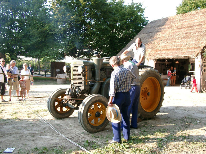 Mirano19