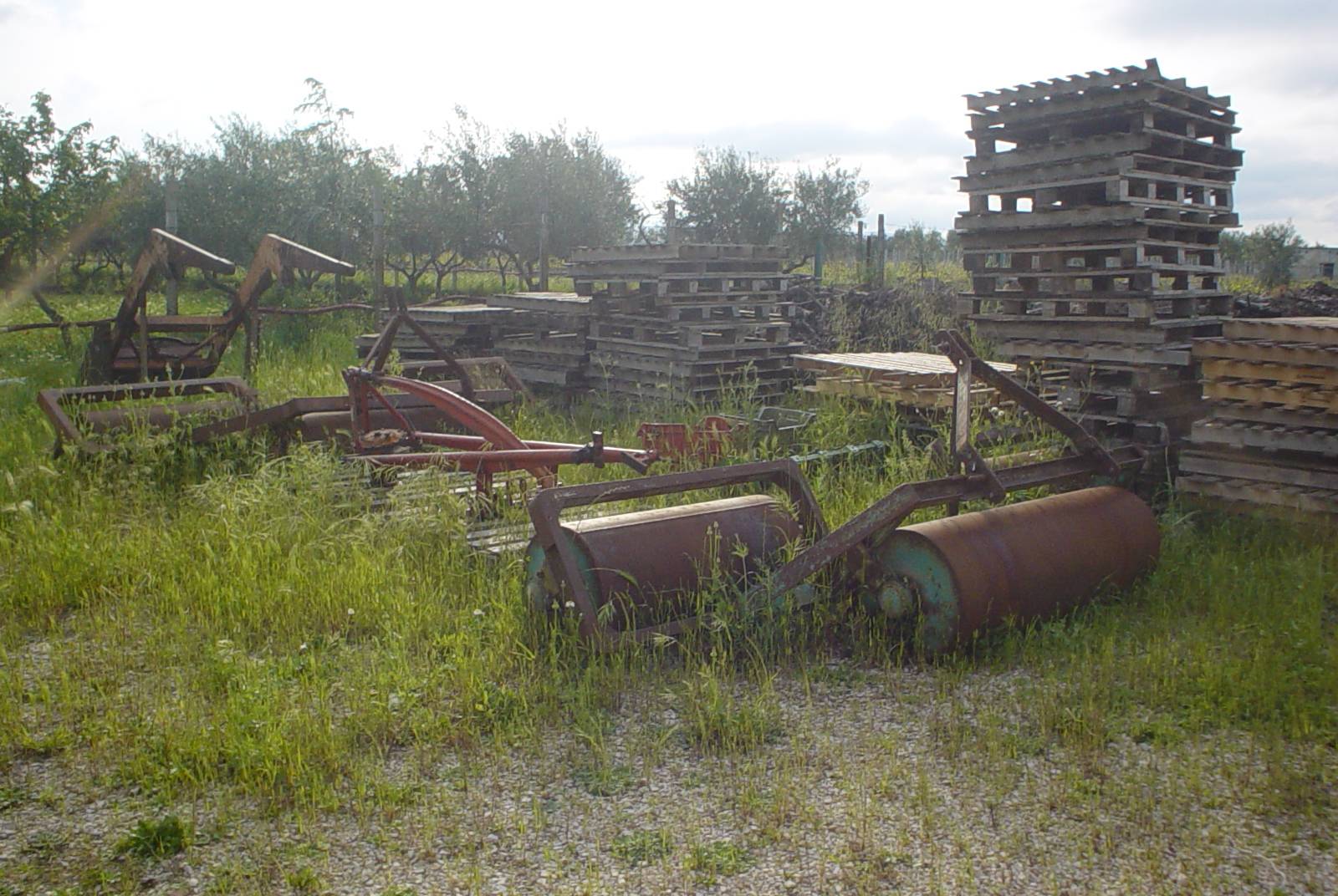 Azienda Agricola Puglise
