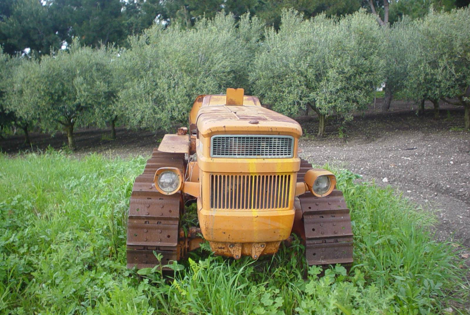 Azienda Agricola Puglise
