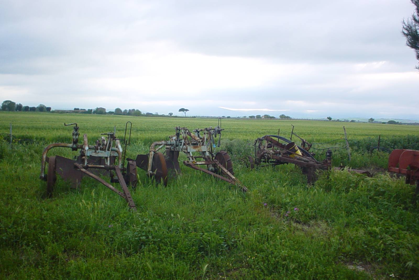 Azienda Agricola Puglise