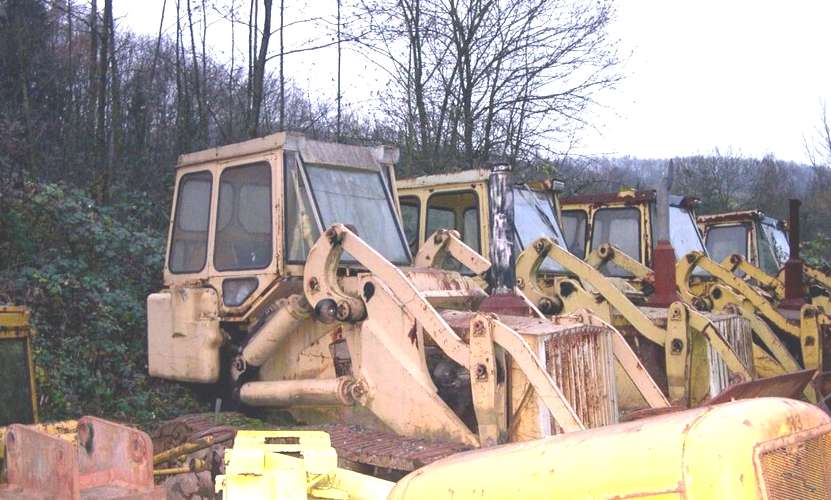 Viale del tramonto...