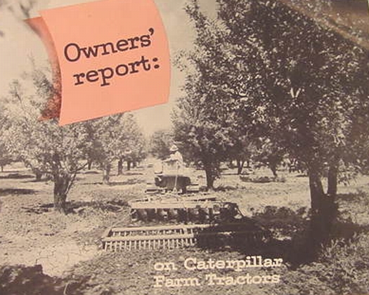 Caterpillar