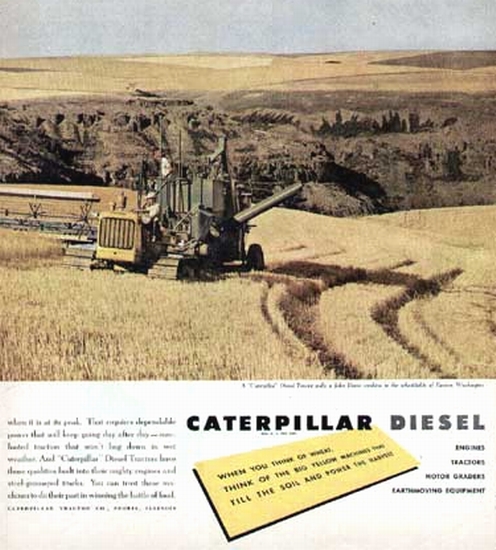Caterpillar