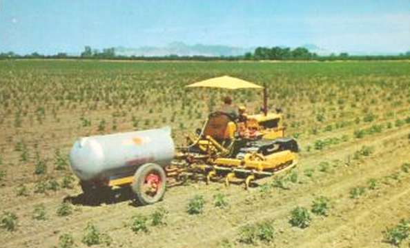 Caterpillar D4