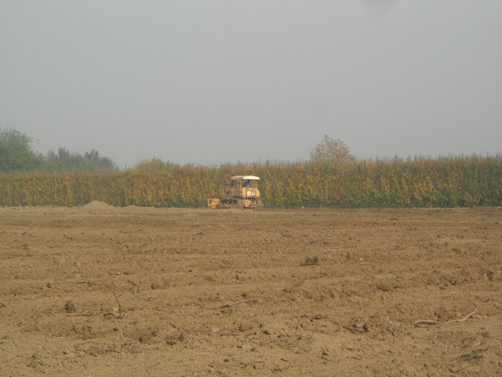 fiat allis FA150