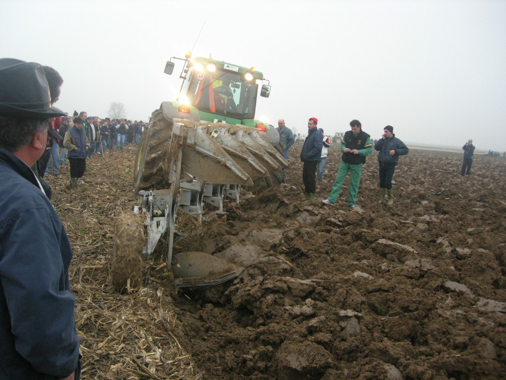 quadrivomere scalmana