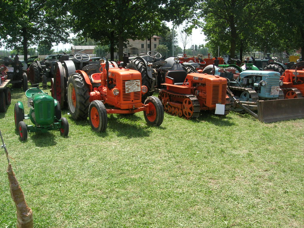 albareto 2007