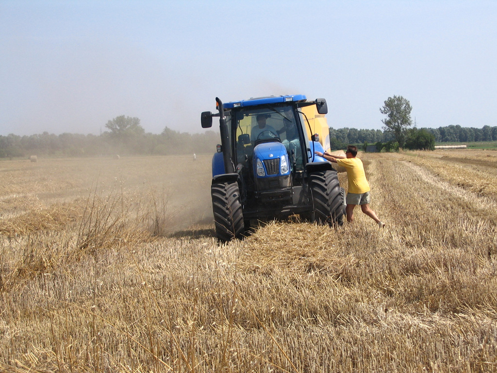 New Holland in campo Nonantola MO 1/7/07