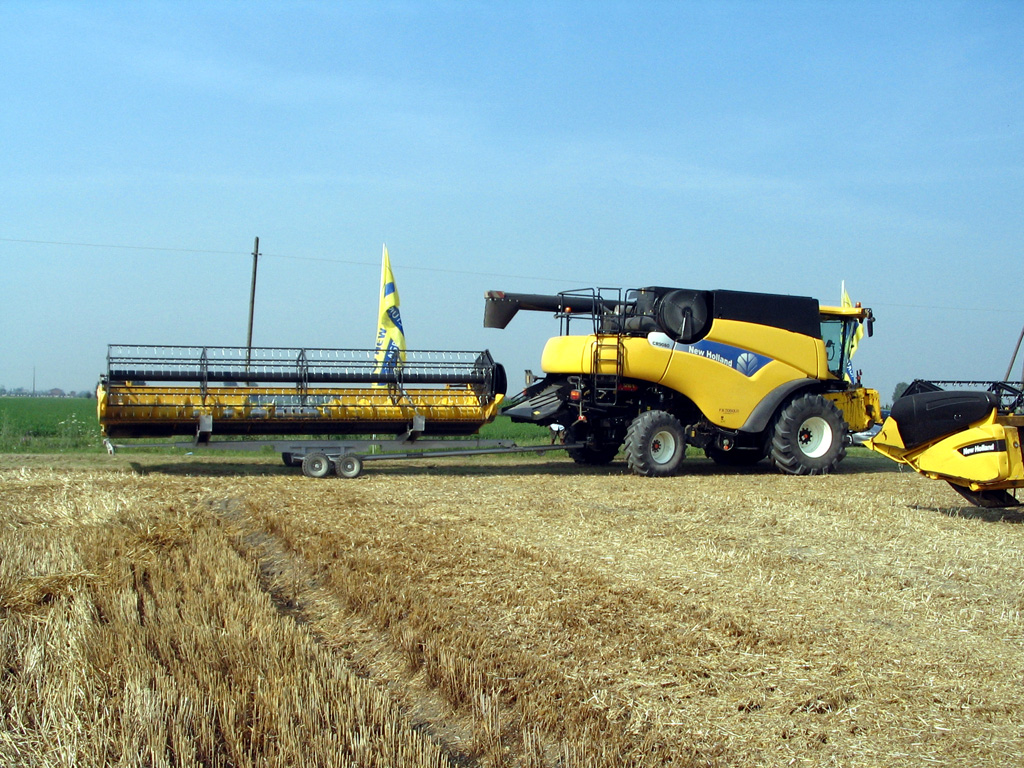 New Holland in campo Nonantola MO 1/7/07