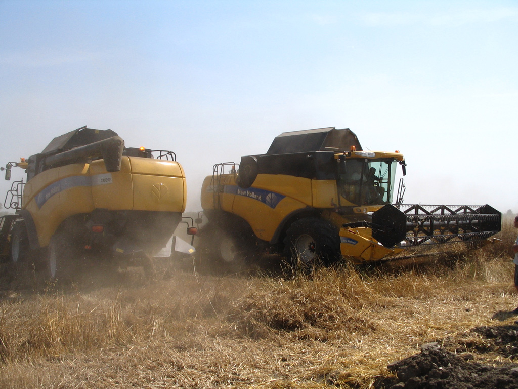 New Holland in campo Nonantola MO 1/7/07