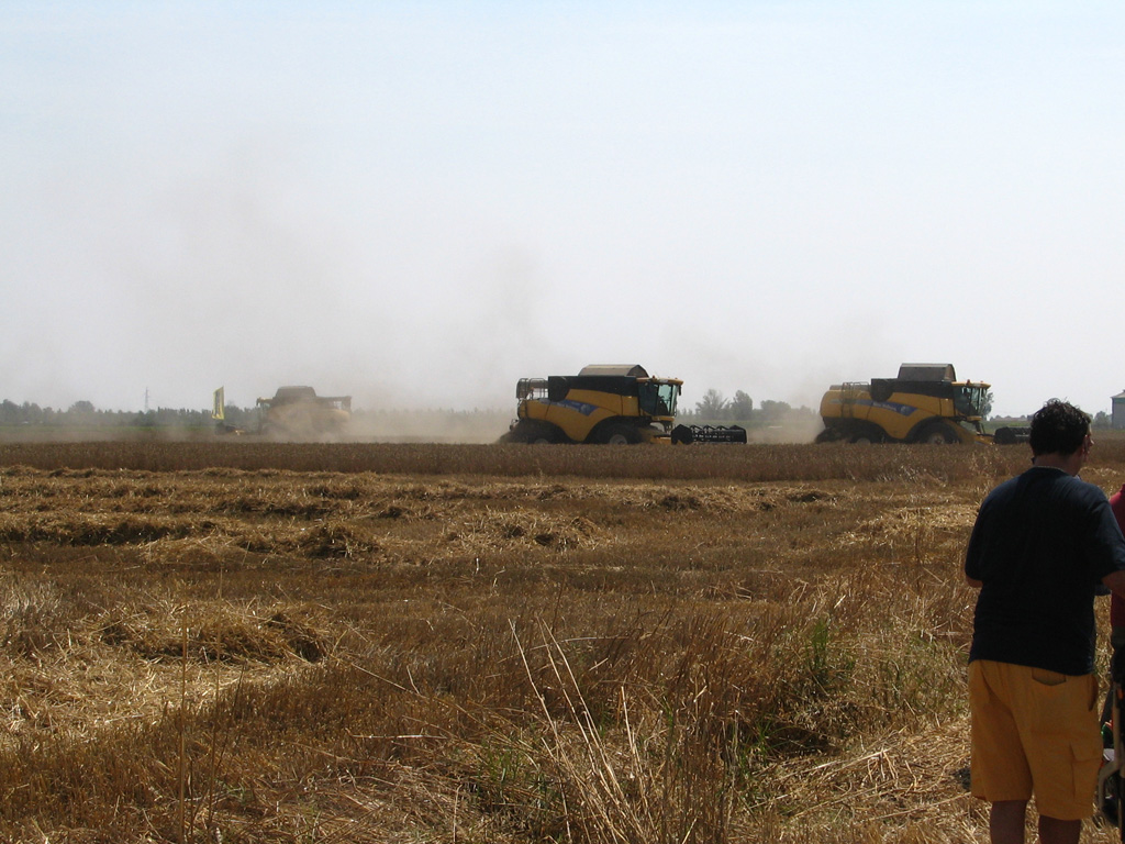 New Holland in campo Nonantola MO 1/7/07