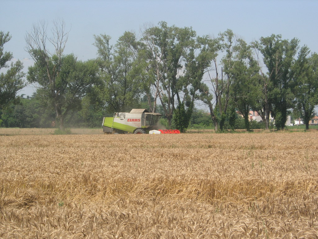 claas lexion 420