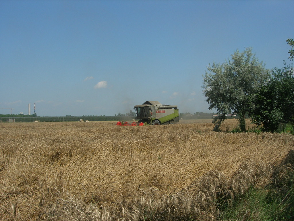 claas lexion 420