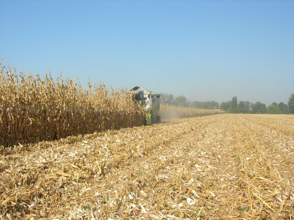 claas lexion 420