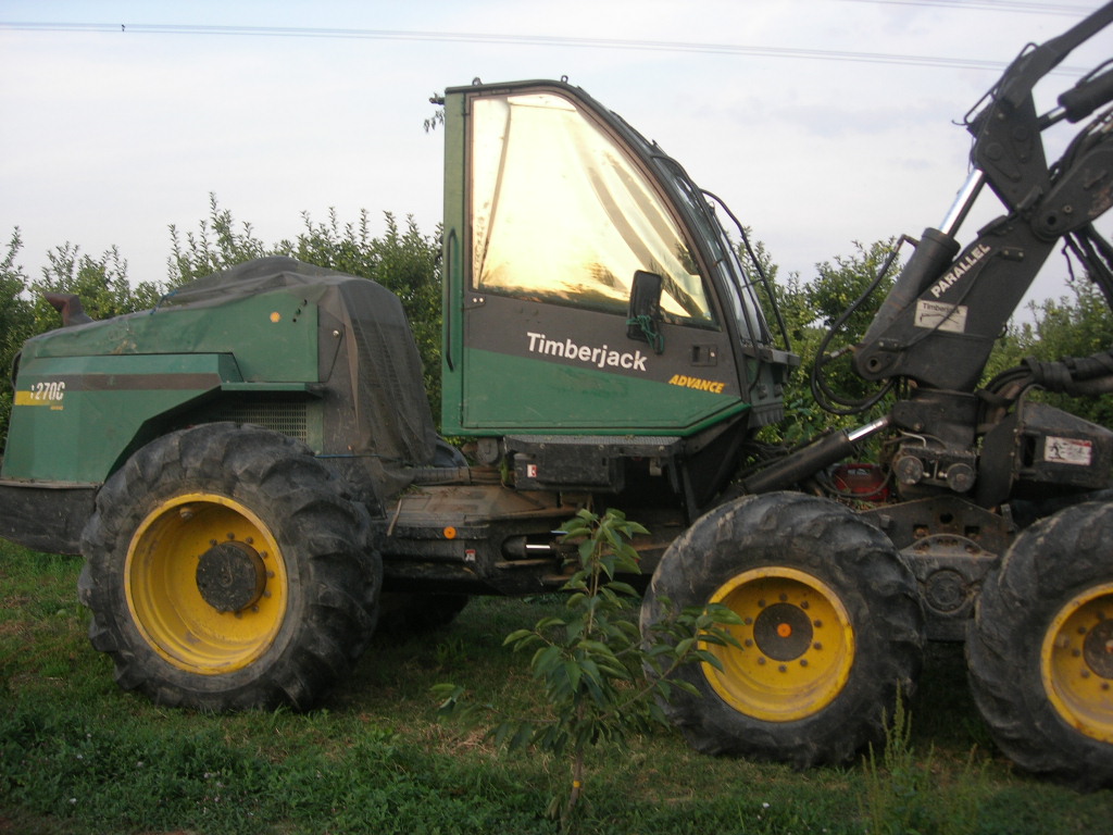 timberjack