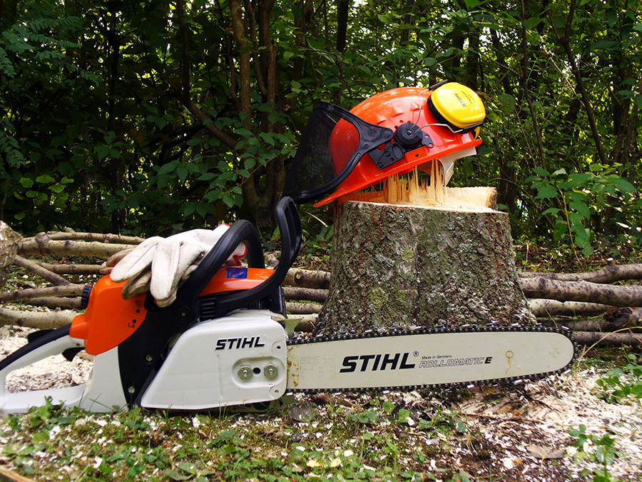 Abbattimento Pioppo Nero, Stihl 280